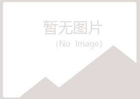 白银平川千青司法有限公司